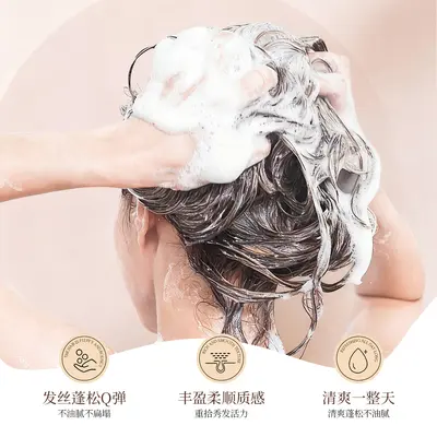 Black Sesame Plant-Based Shampoo for Dry and Frizzy Hair