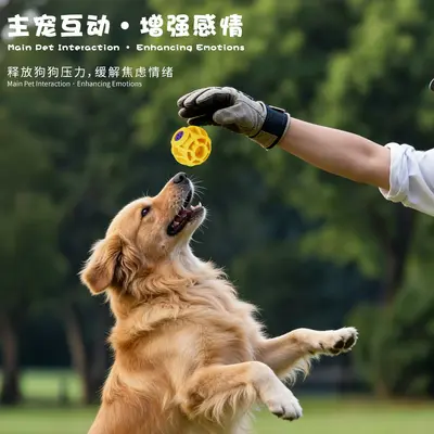 Silicone Squeaky Dog Chew Ball, Durable with Teeth Cleaning - 3