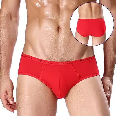 Herren-Slips aus Modal, mittlere Taille, hochelastisch, Plus Size - 10