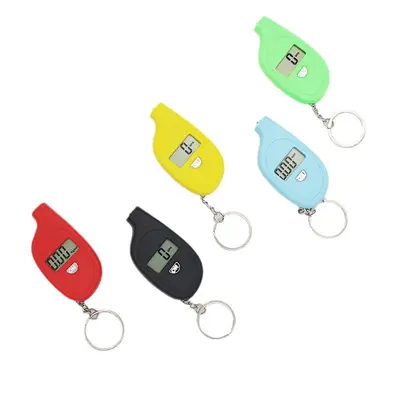 Sınır ötesi sıcak satış mini lastik basınç göstergesi anahtarlık lastik basıncı dijital ekran lastik basınç göstergesi yazdırılabilir logo mini lastik basınç göstergesi