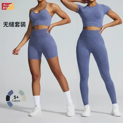 Women's Seamless High-Waist Sports Set, Sand-Washed, Yoga Clothing