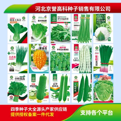 Four-Season Vegetable Seeds Set, Including Radish and Beans, 200+ Varieties - 6