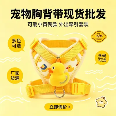 Small Dog Vest-Style Harness with Walking Leash - 5