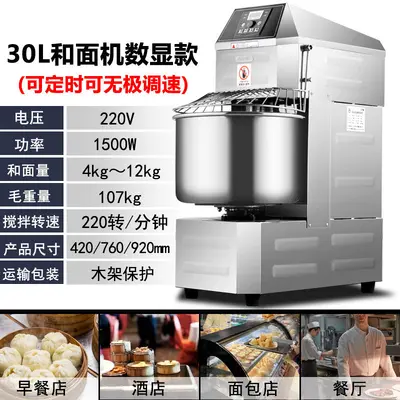 Commercial dough mixer 10/15/25 kg, stainless steel - 12