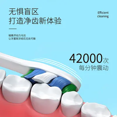 Rechargeable Electric Toothbrush with Water Flosser, Soft Bristles, Adults and Children