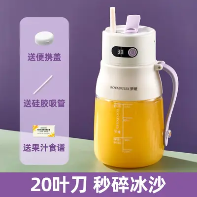 Fruit juicer, portable, large capacity - 8