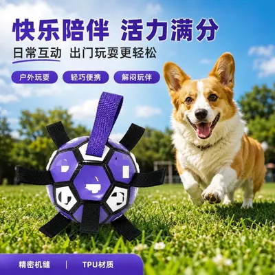 Köpek diş kaşıma topu, kauçuk, küçük ve orta ırk köpekler için - 2