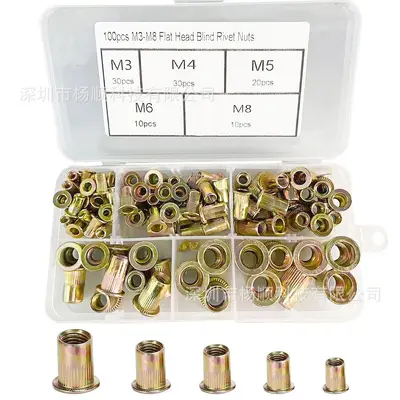 Carbon Steel Zinc-Plated Blind Rivet Nut Set M3-M8, 100 Pcs in Box