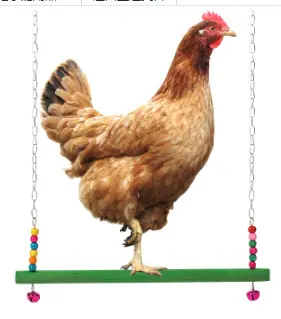 Wooden Pet Chicken Swing and Climbing Perch with Ladder