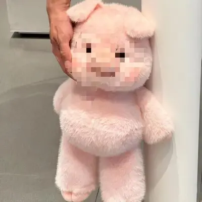 Laufendes Mini-Schwein Plüschpuppe, Beruhigendes Schlafkissen