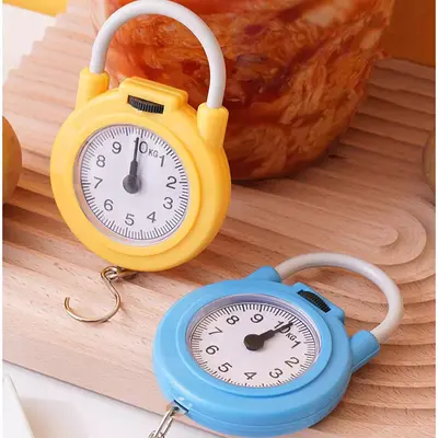 Portable Mini Hook Household Digital Spring Scale