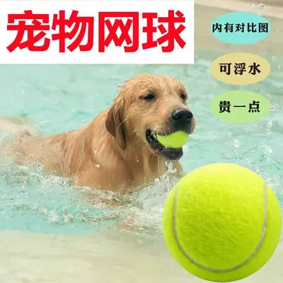 Dog Ball Toy, Chew-Resistant Rubber Ball for Training - 3