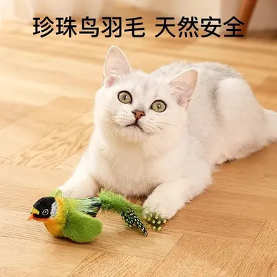 猫玩具仿真小鸟发声自嗨解闷神器逗猫棒消耗体力幼猫玩具猫咪用品 - 4