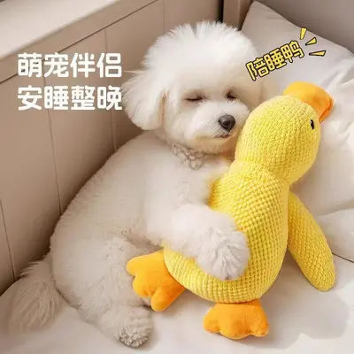 Squeaky Dog Chew Toy, Durable, for Small and Medium Dogs - 12