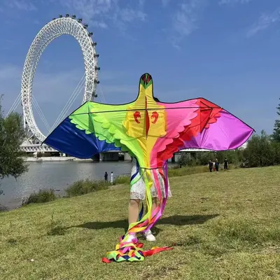 Rainbow Phoenix Kite for Adults, with Front Pole - 7