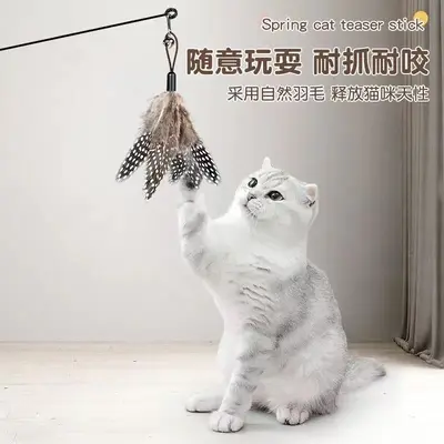 Wooden Handle Cat Teaser Wand with Feather and Bell, Replaceable Heads - 4