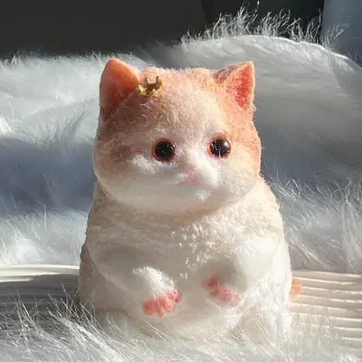 Hand-Painted Giant Chubby Cat Squishy Stress Relief Toy, DIY