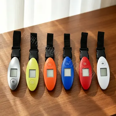 Electronic handheld scale, 50kg, portable luggage weighing