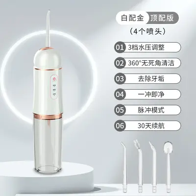 Portable Electric Oral Irrigator with Tartar Remover - 11