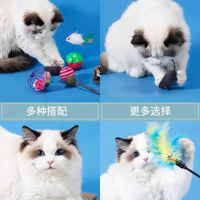 Набор игрушек для кошек для самостоятельной игры, лазерная дразнилка для кошек, палочка-дразнилка, игрушки для котят, перо для домашних питомцев, товары для молодых кошек, полная коллекция - 4