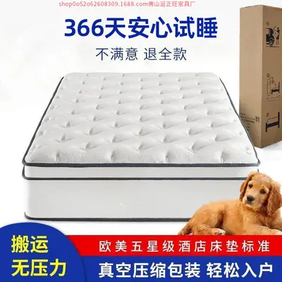 30cm Independent Spring Roll-Up Vacuum Compressed Mattress, Thick and Ultra Soft - 3