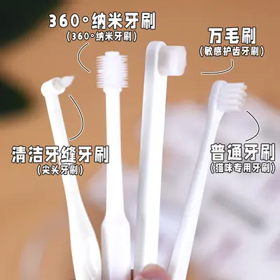 Kojima Pet Cat and Dog Toothbrush and Toothpaste Set