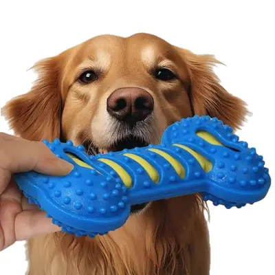 Çift Katmanlı Kauçuk Köpek Kemiği, Büyük Irk İçin Sesli Oyuncak - 6