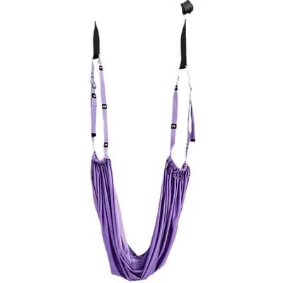 Aerial Yoga Swing Rope, Door-Mounted for Backbend Training - 6