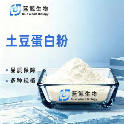 土豆蛋白粉食品级水溶性粉末马铃薯蛋白粉原料蓝鲸生物科技
