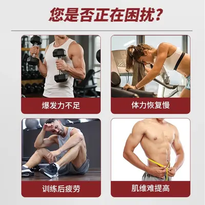 Yingzhishu kreatin monohidrat 210g spor - 2