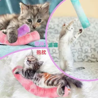 Langes Kissen-Katzenspielzeug mit Katzenminze, Federspielzeug zum Beißen und Selbstbeschäftigen zur Unterhaltung, interaktives Spielzeug, Katzenspielzeug vom Hersteller