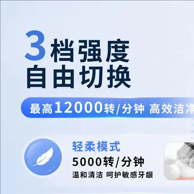 360° Rotating Electric Toothbrush with 4 Brush Heads