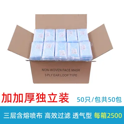 Disposable Adult Face Mask, 3-Ply, Individually Packed, Meltblown Layer - 11