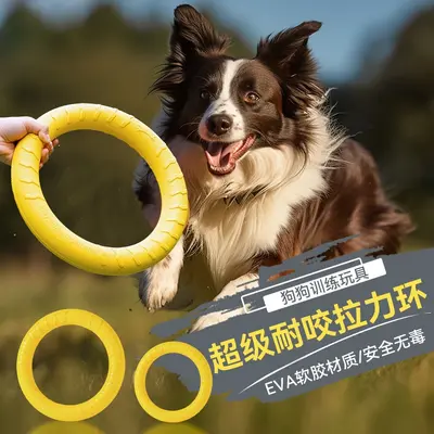 Durable Chew Tug Ring and Frisbee Dog Training Toy - 2