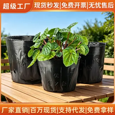 Reusable Seedling Nutrition Cup Plastic Nursery Pot
