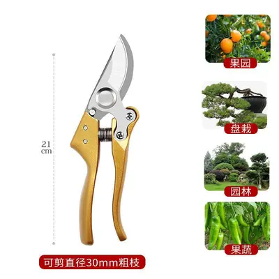 Raspberry Color SK5 Pruning Shears, for Fruit and Flower Branches - 12