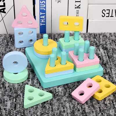 Çocuk Montessori öğretim yardımcıları ahşap geometrik şekil balıkçılık seti sütun bilişsel yapı taşları eşleşen aile interaktif eğitici oyuncaklar - 10