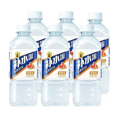 Dongpeng Elektrolyt-Getränk Zitronengeschmack 300ml x 6 Flaschen
