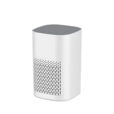 USB Gift Air Purifier for Smoke, Odor and PM2.5 Removal