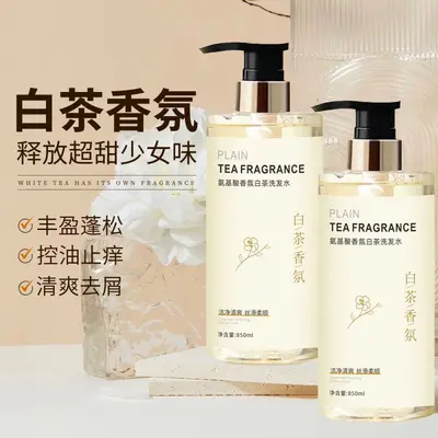 Camellia shampoo large capacity oil control anti-dandruff shower gel long-lasting fragranc