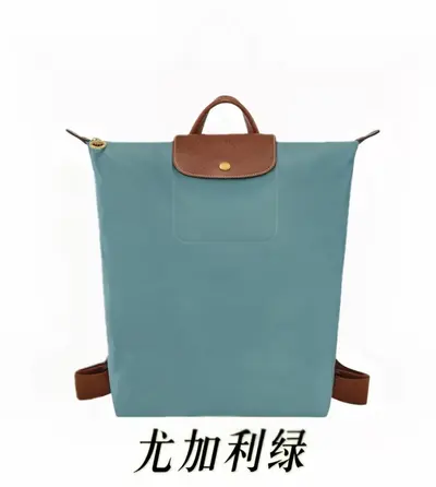 Dragon Inlay Large Nylon Foldable Waterproof Backpack - 11