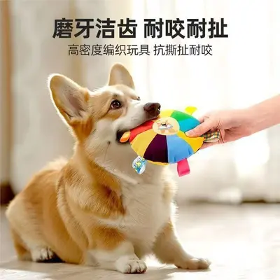 Plush Frisbee Dog Toy with Squeaker for Teething Puppies