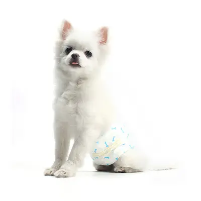 Erkek köpek fizyolojik pantolonu, bez külot, orta boy evcil hayvan