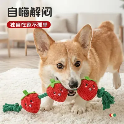 Hoopet Squeaky Dog Toy with Chew-Resistant Rope Knot for Small Dogs - 4