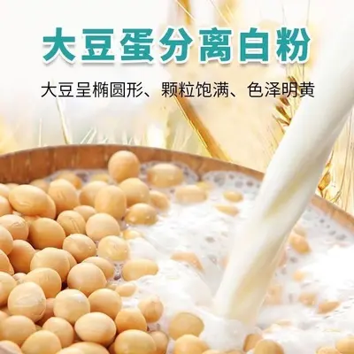 Whey Protein Powder, High Calcium, Sugar-Free - 4