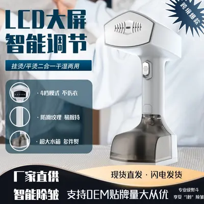 新款手持挂烫机家用大功率蒸汽电熨斗便携式熨烫机跨境烫斗烫衣机