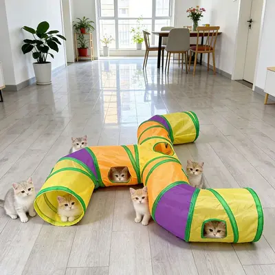Foldable Cat Toy Tunnel, Long Three-Way Rainbow Design for Cats and Dogs - 3