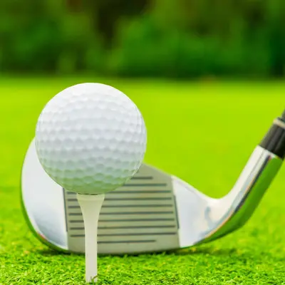 Beyaz ahşap golf tişi, 83/70/54 mm