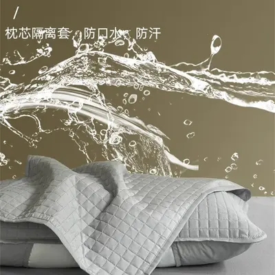 Anti-Mite Pillow Protector, Pair Pack, Protection Against Drool and Hair Oil - 8