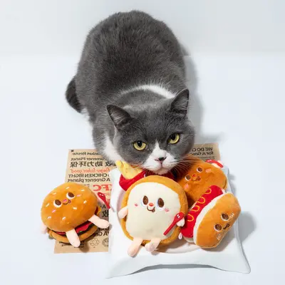 Catnip Chew Toy in Hamburger and Drumstick Shape
